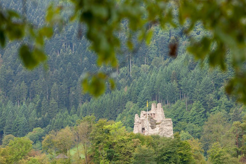 Hotel Winterhaldenhof Schenkenzell Экстерьер фото