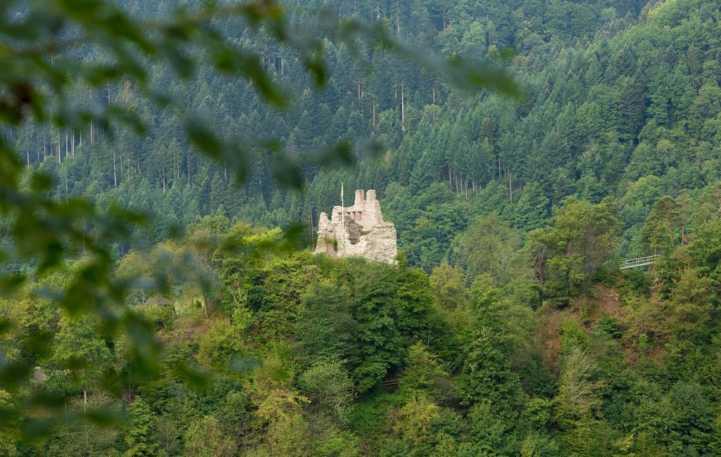 Hotel Winterhaldenhof Schenkenzell Экстерьер фото